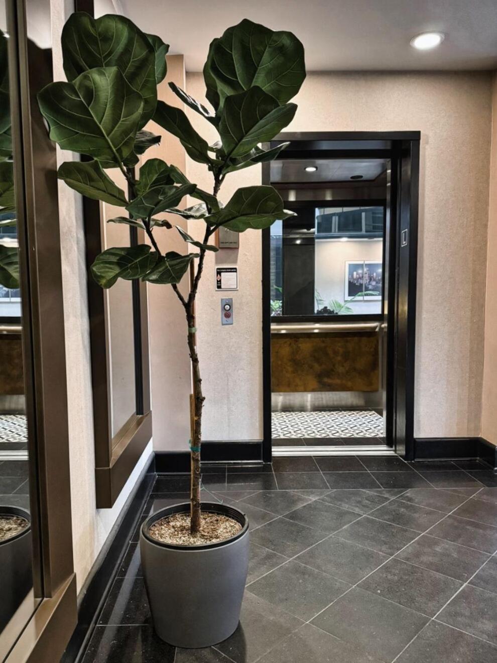 Hotel International Линвуд Экстерьер фото